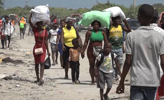 Haiti: UN rights office welcomes new judicial units to tackle gang violence and impunity