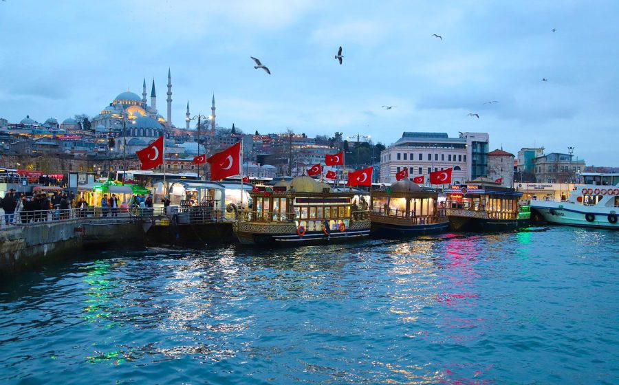 Conviction of peaceful environmental activist in Türkiye condemned as ‘devastating blow’